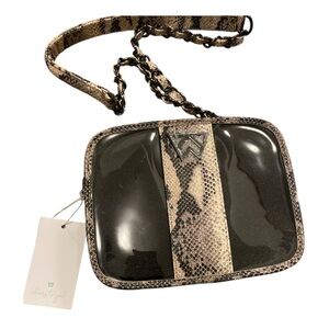 Kelly Wynne Mingle Mingle python Snake Print clear Handbag with Chain Strap